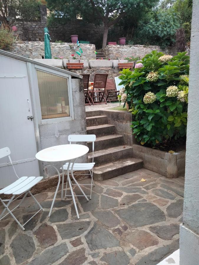 Beautiful Apartment With Garden Amélie-les-Bains-Palalda Eksteriør bilde